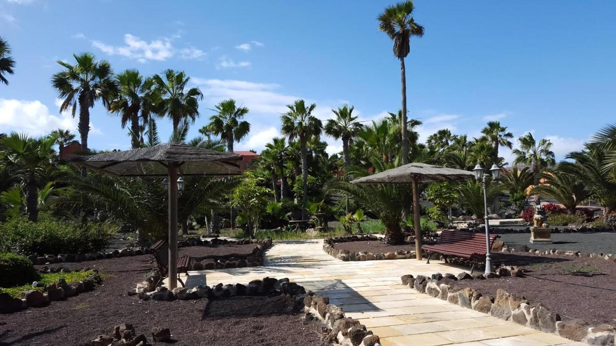 Apartamento Oasis Royal 1d Corralejo