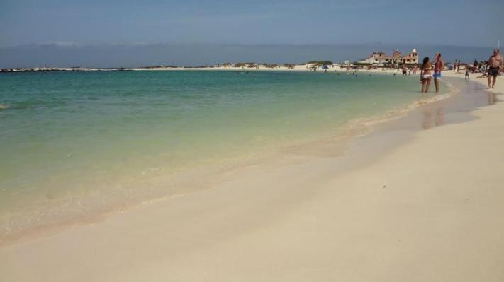Oasis Royal 1d Apartamento