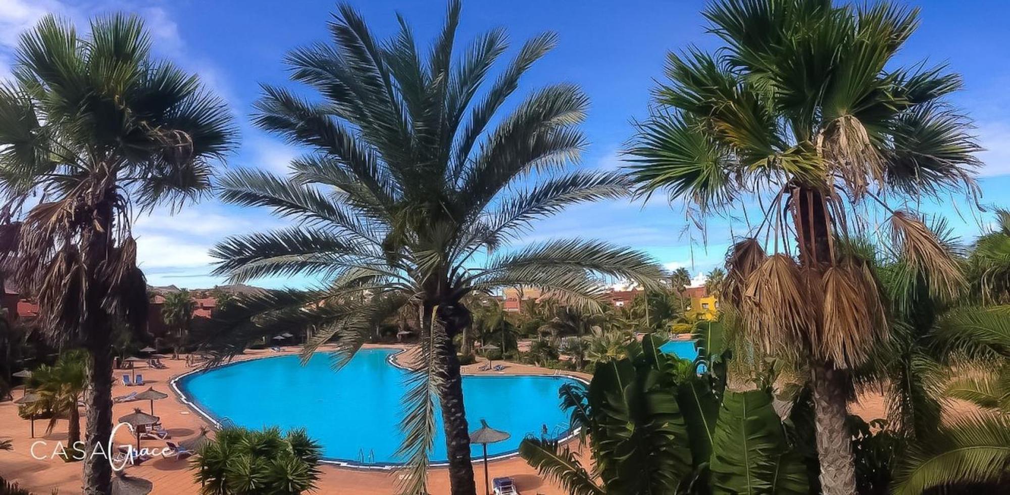 Apartamento Tamarindo 1 Casa Grace Wifi Free Pool View By Rentalfue