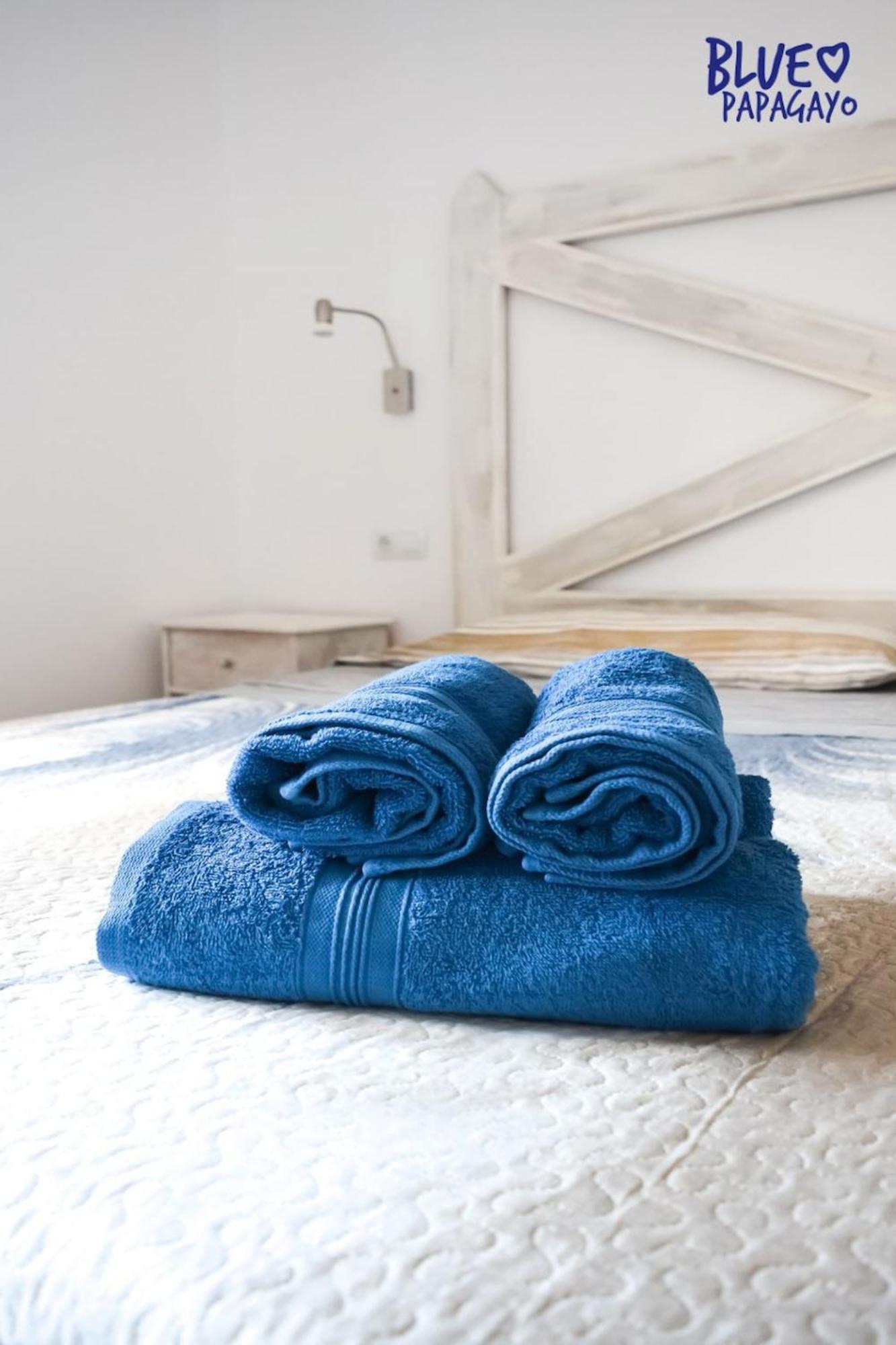 Two Bedrooms Oasi Blue Papagayo By Rentalfue Apartment *