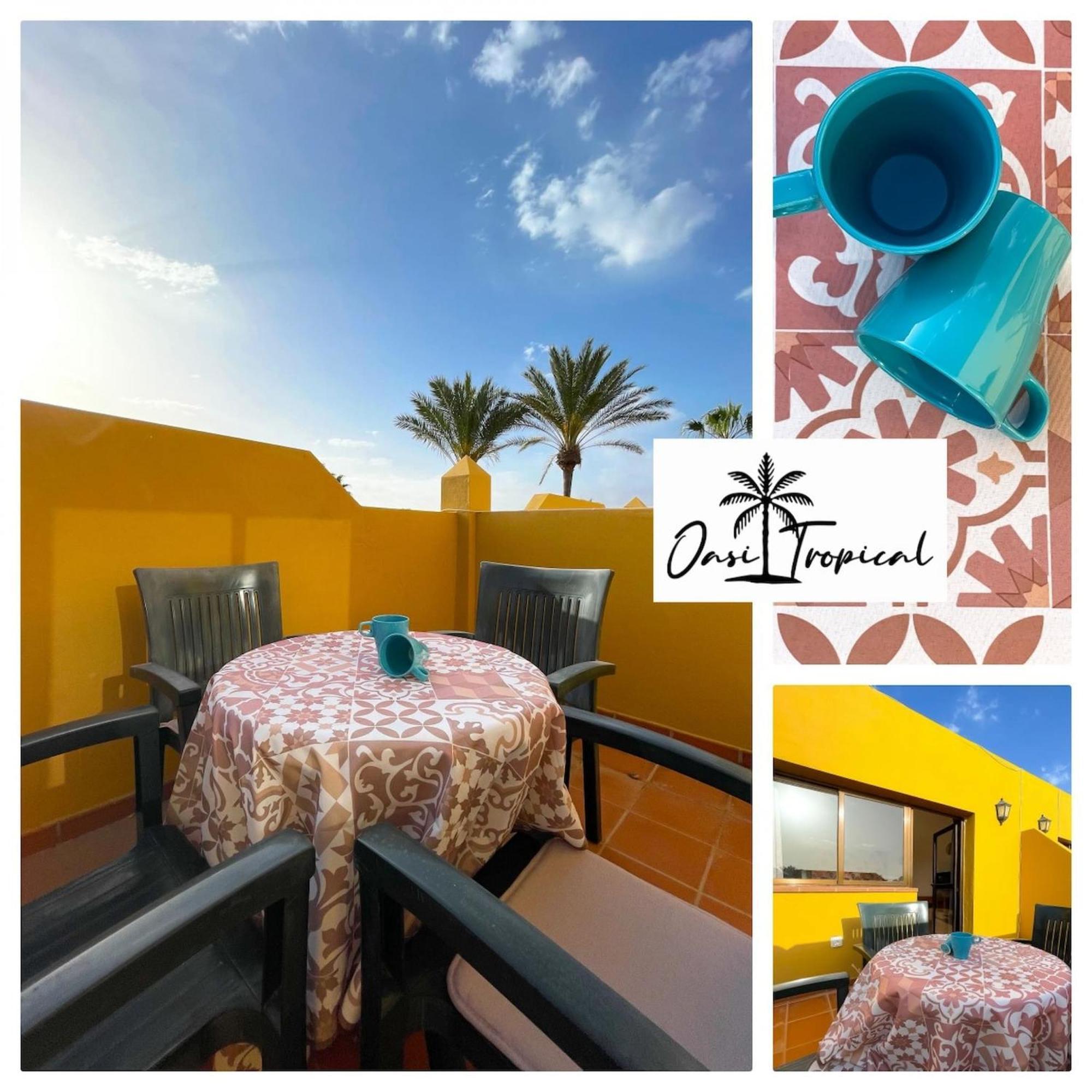Oasi Tropical Wifi Free By Rentalfue *