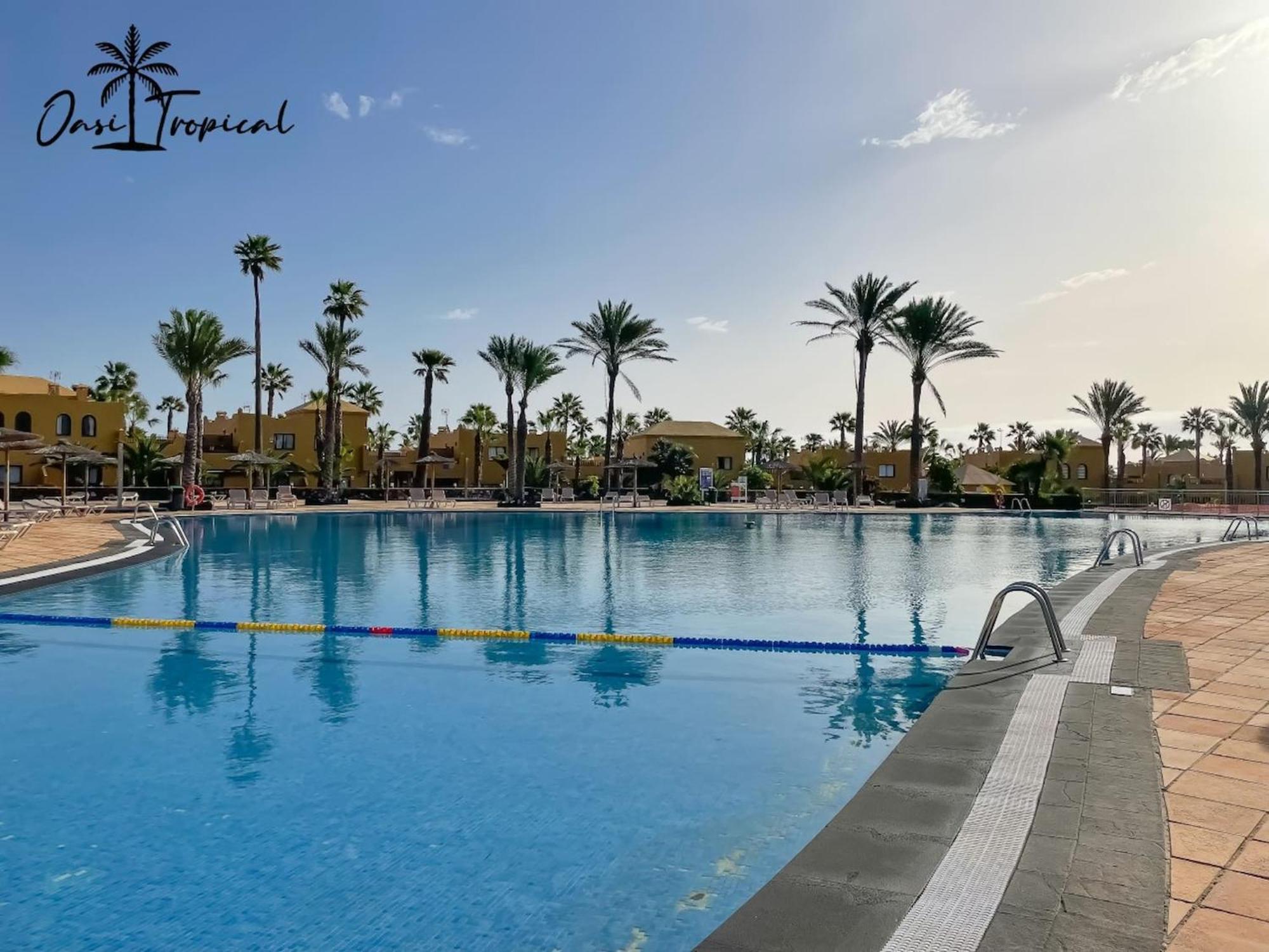 Oasi Tropical Wifi Free By Rentalfue Corralejo