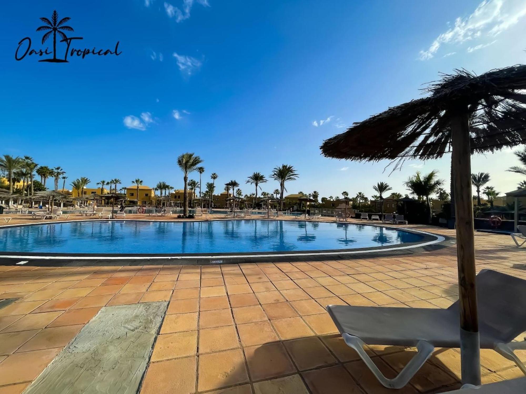 Apartment Oasi Tropical Wifi Free By Rentalfue *
