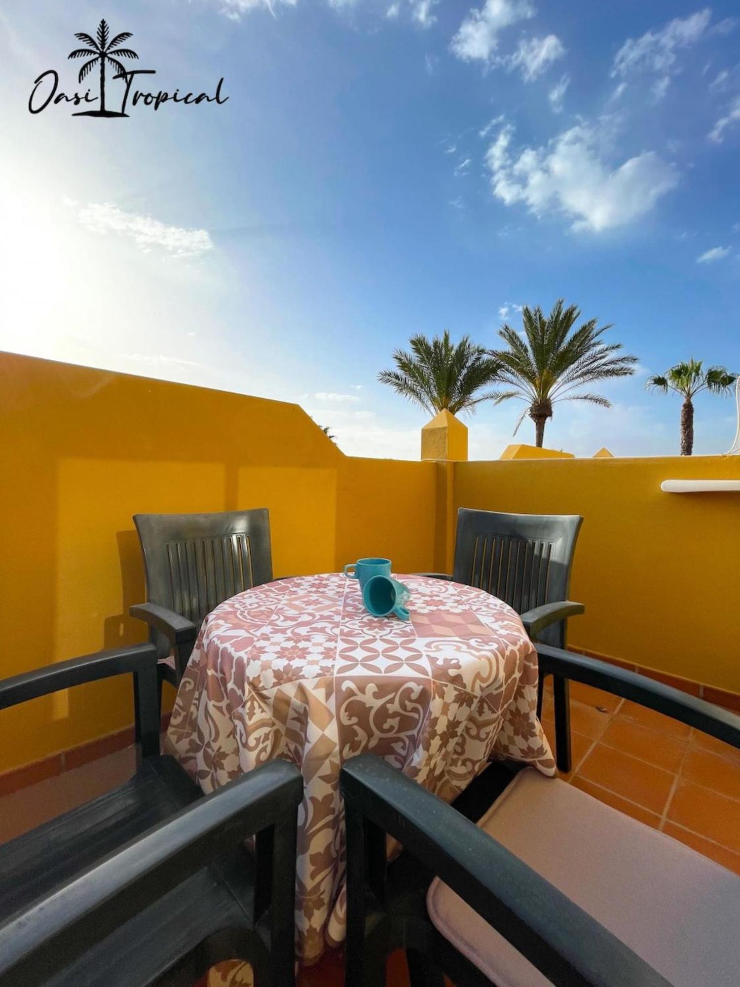 Oasi Tropical Wifi Free By Rentalfue Apartment