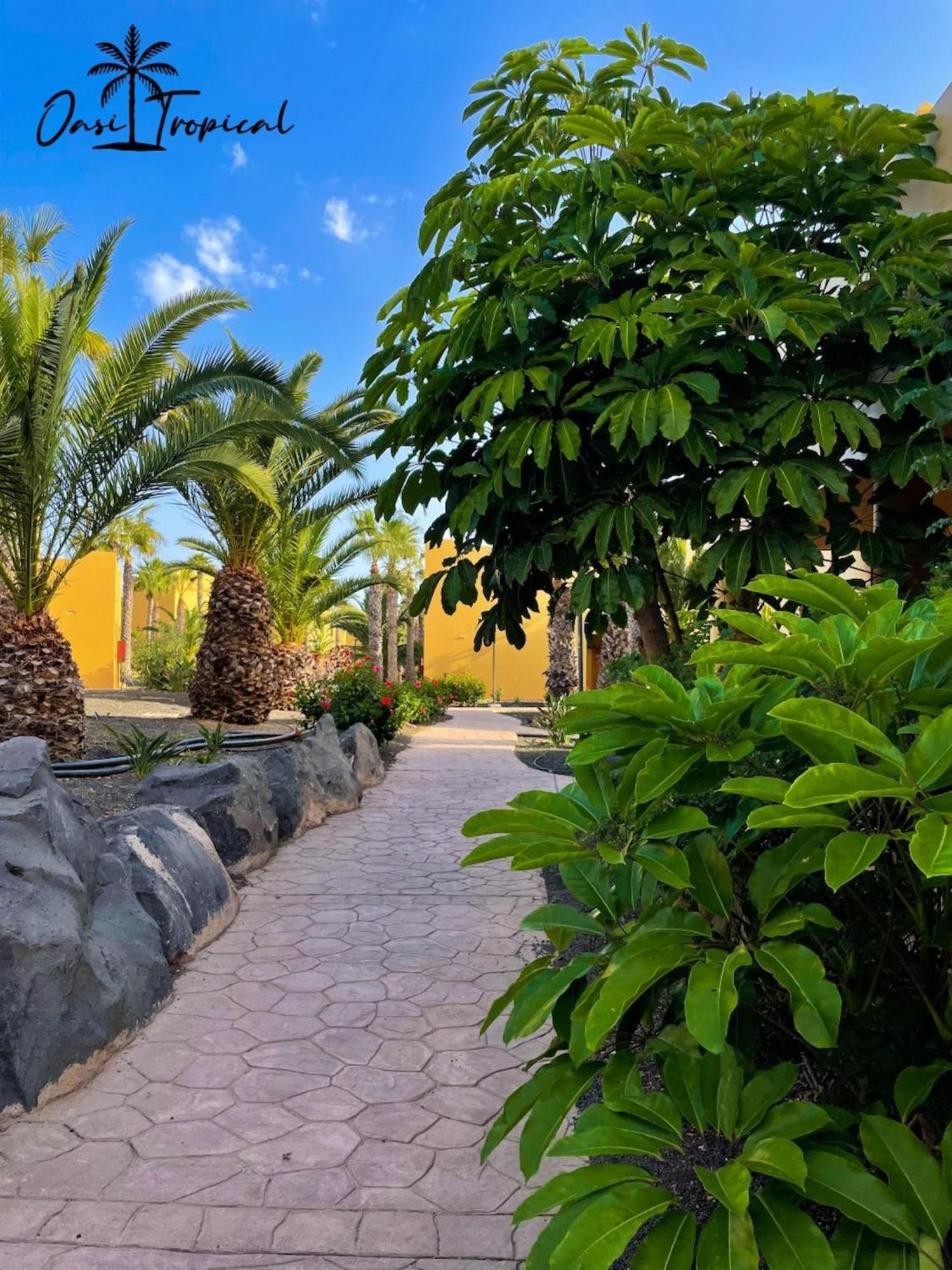 Oasi Tropical Wifi Free By Rentalfue Apartment Corralejo