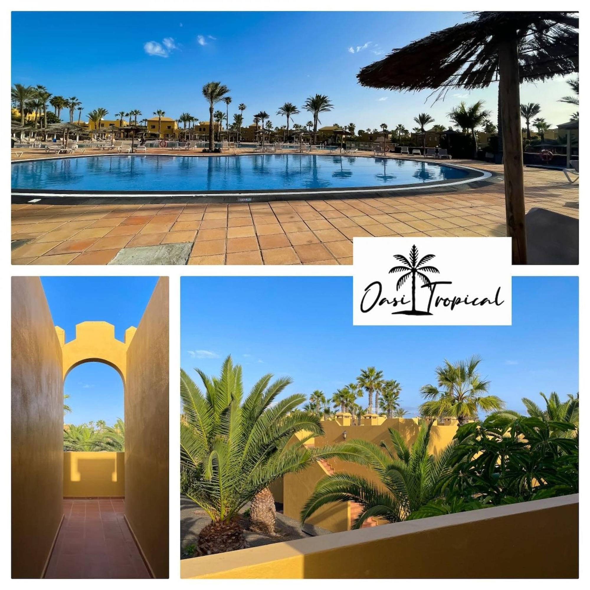 Oasi Tropical Wifi Free By Rentalfue Corralejo