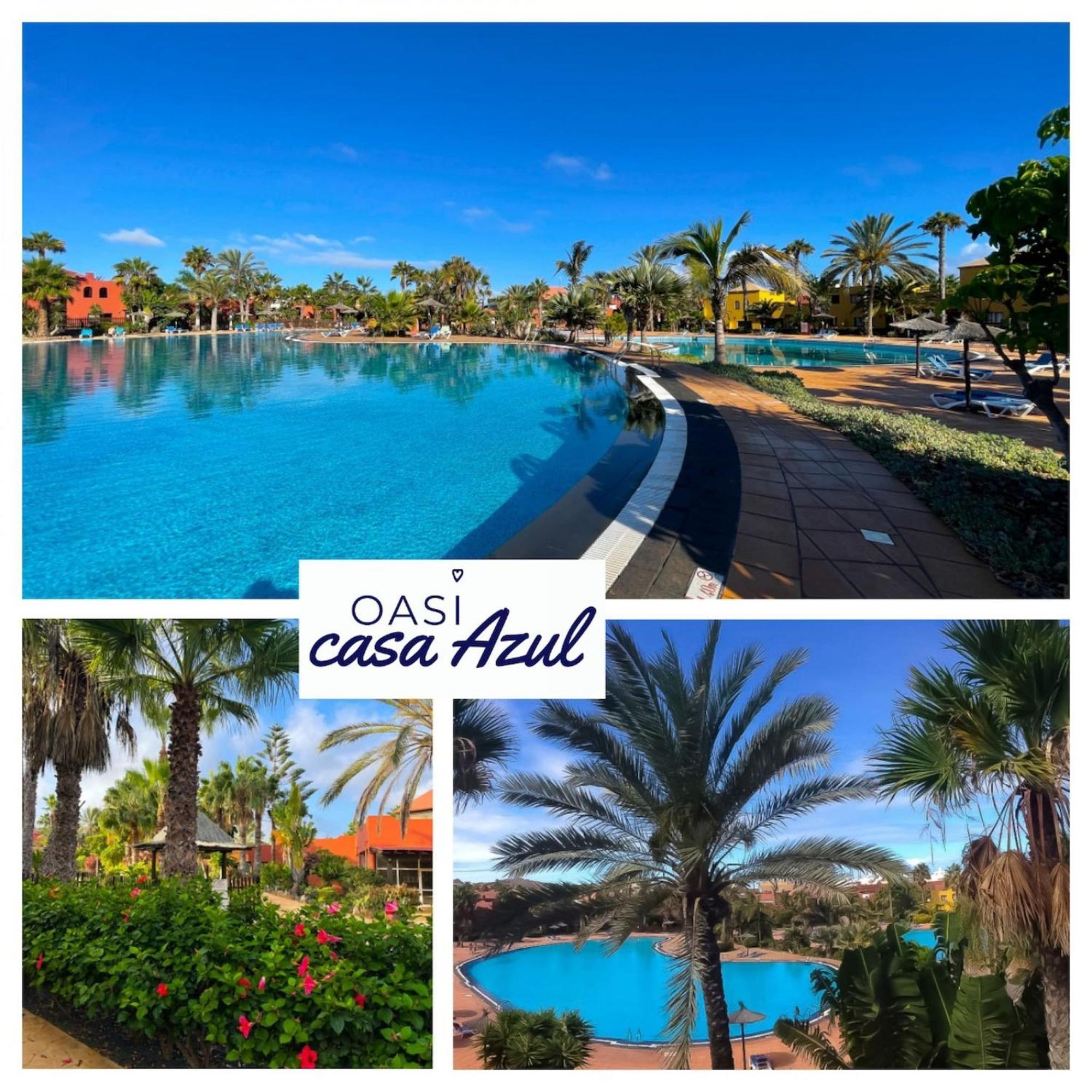 Oasi Casa Azul Wifi And Pool Free By Rentalfue