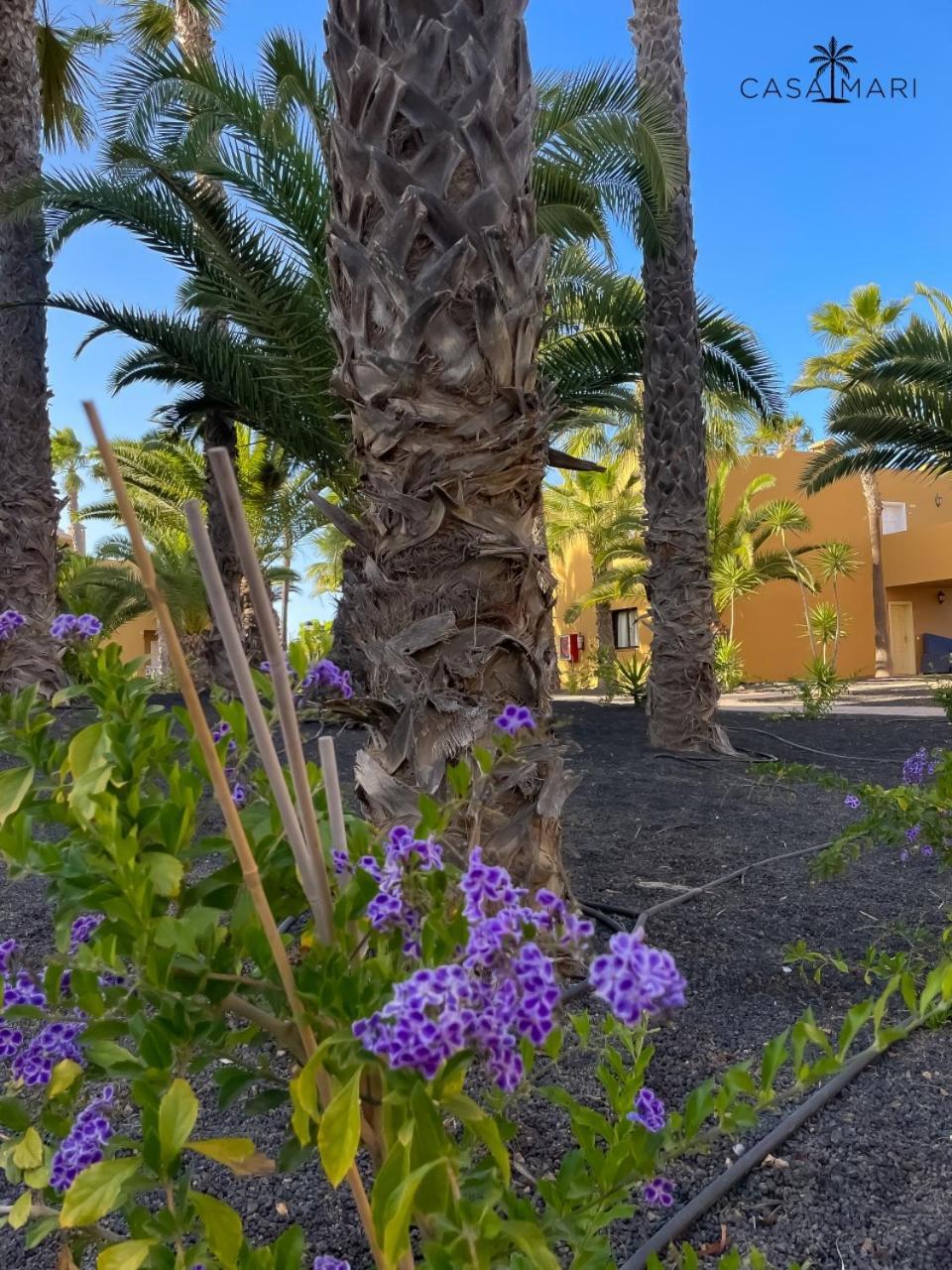 Oasi Casa Mari' Corralejo