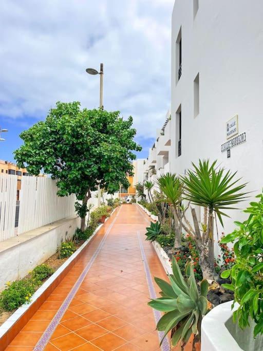Oceano Azul Luminoso 50 Metros Del Mar En Centro Corralejo