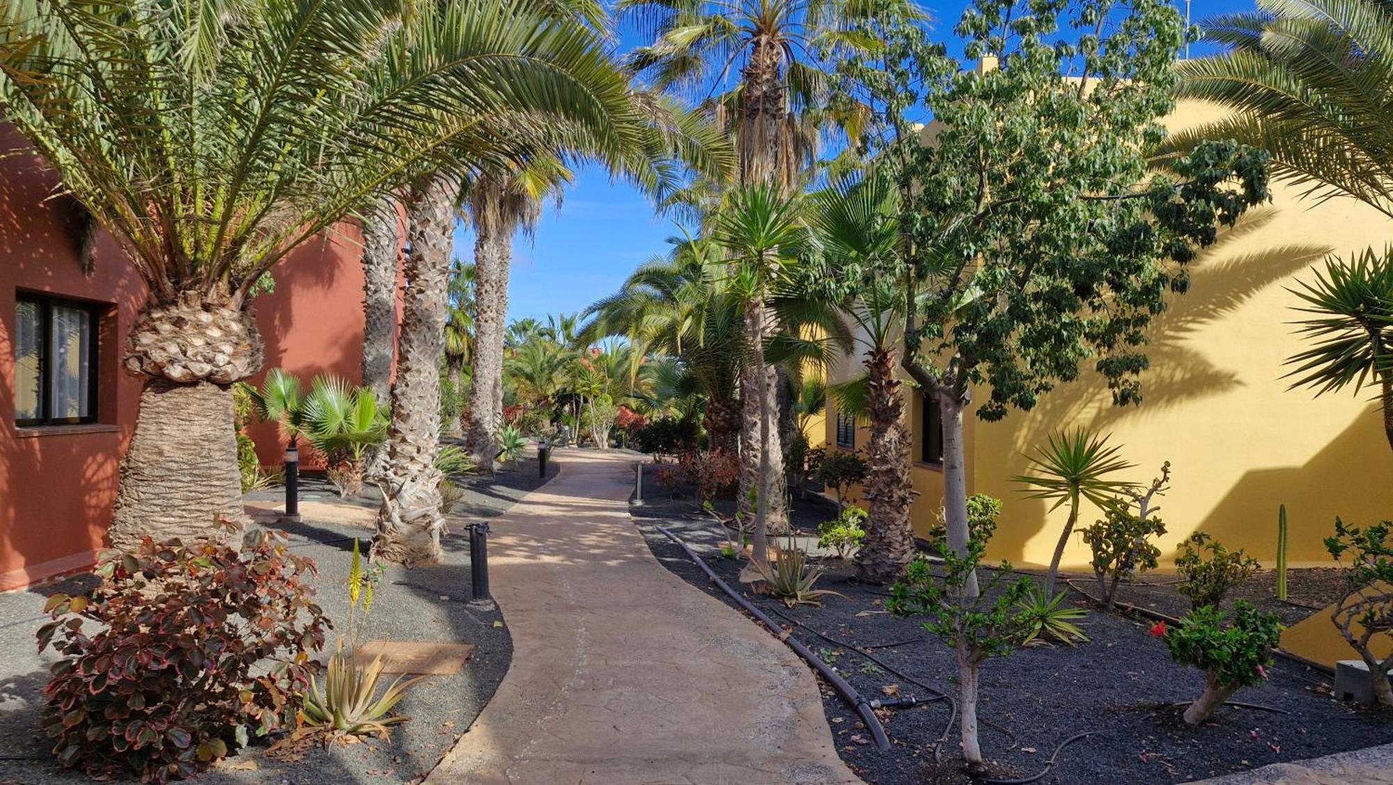 Casa Surf Esperenza Dunas Appartement