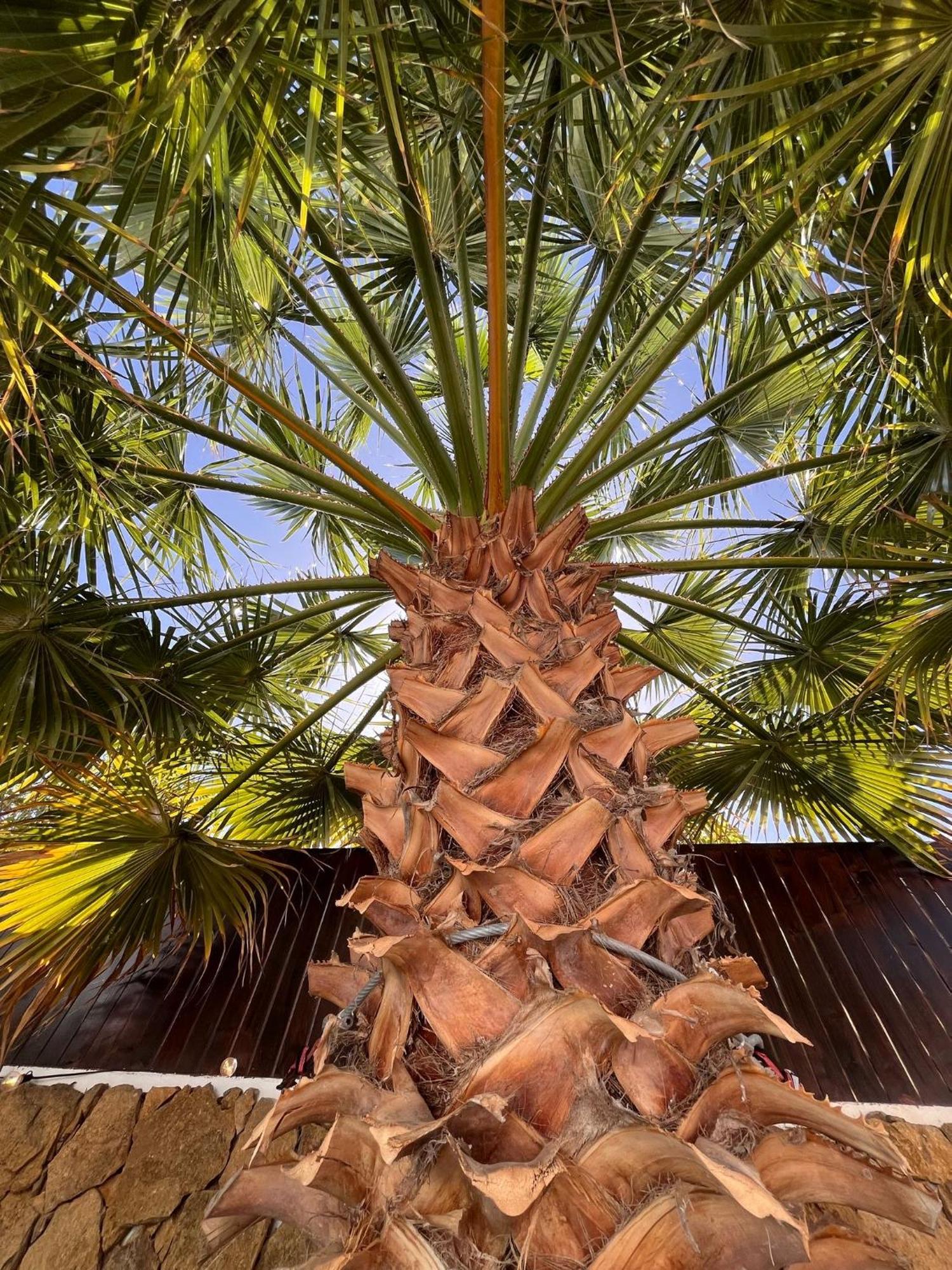 Casa Senna * Corralejo