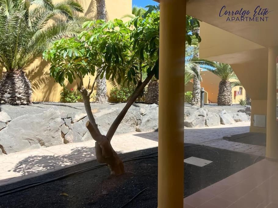 Apartment Elite Corralejo