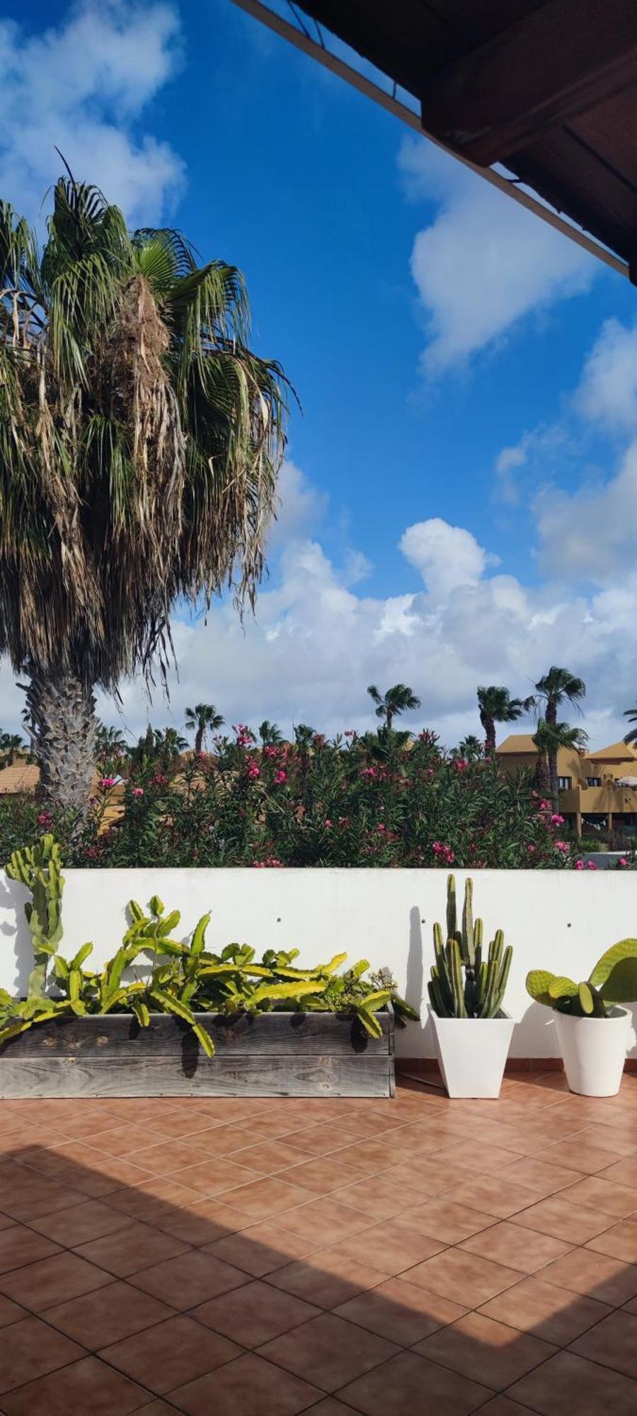 Casa Lena Americas * Corralejo