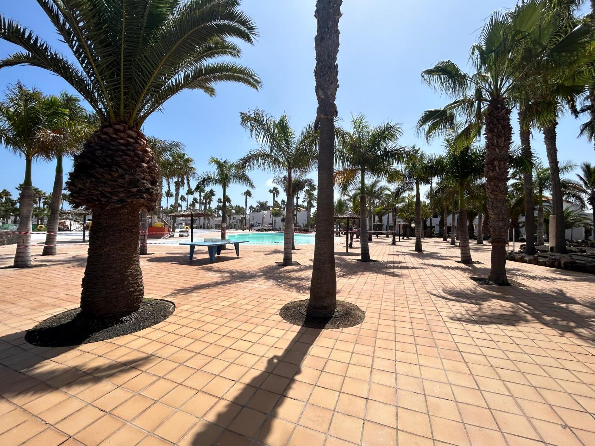Book Jet - Oasis Dunas Premium * Corralejo