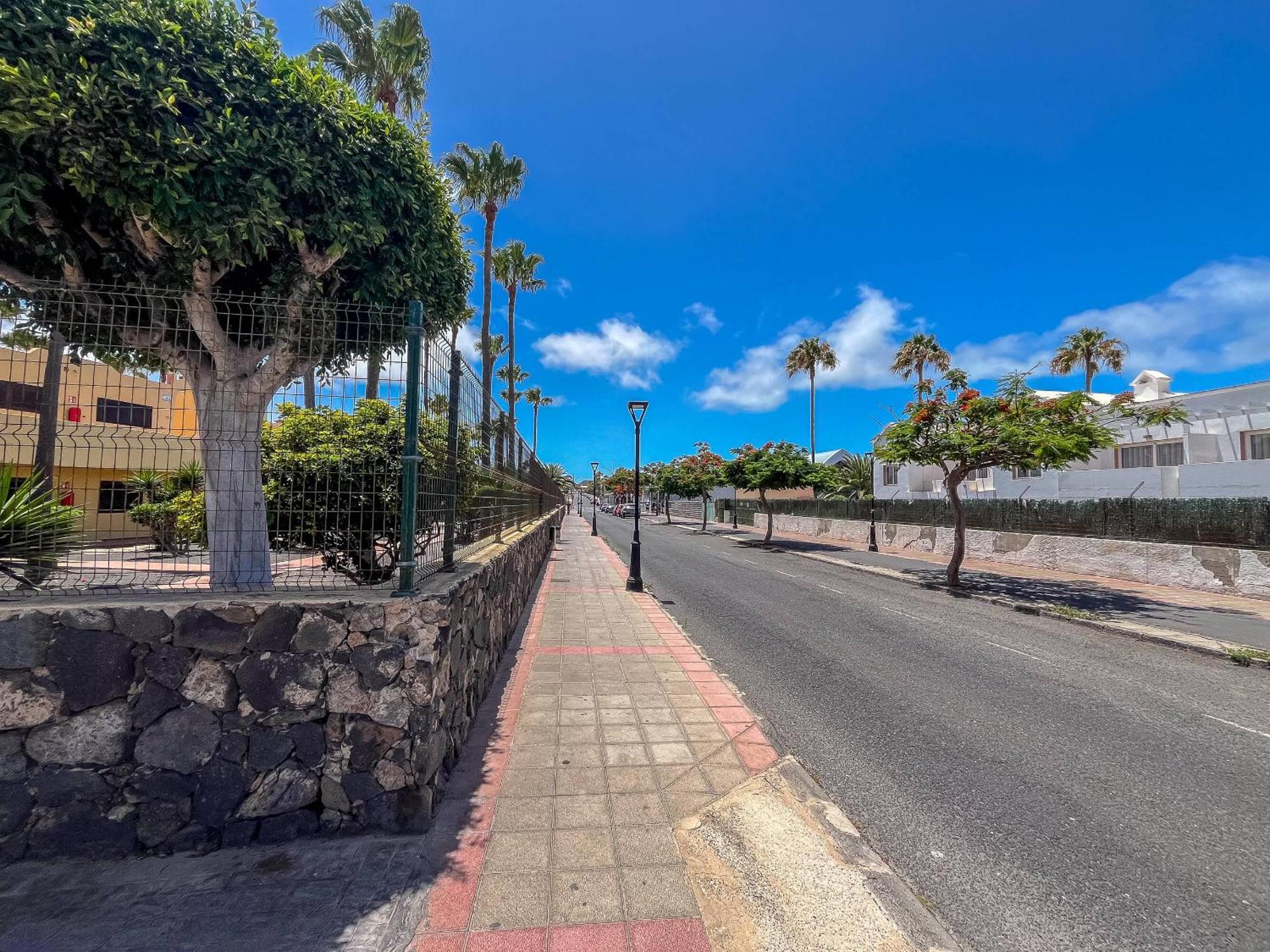 Oasis Royal F314 Corralejo