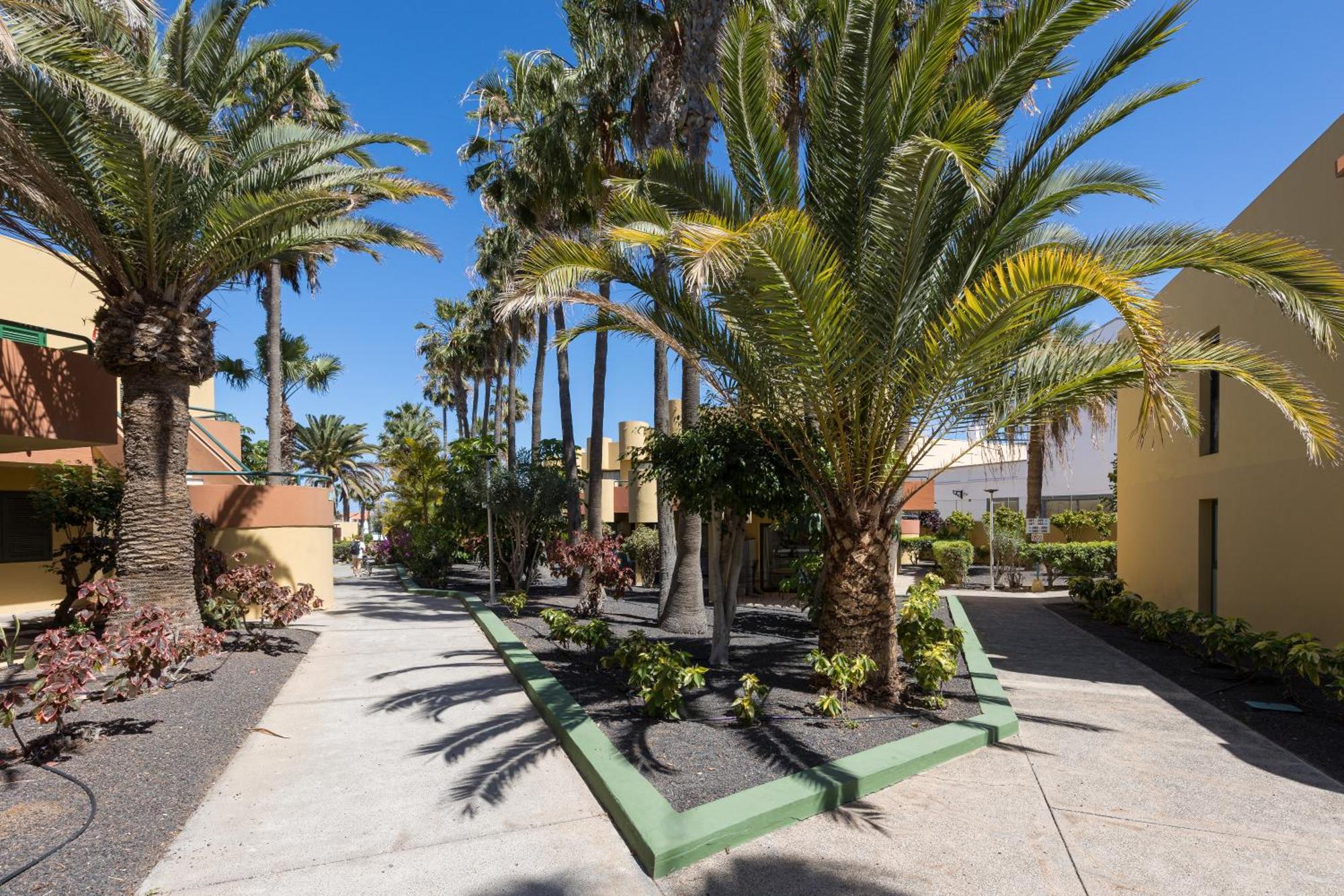Home2book Pool & Tennis Court Cozy Apt, * Corralejo