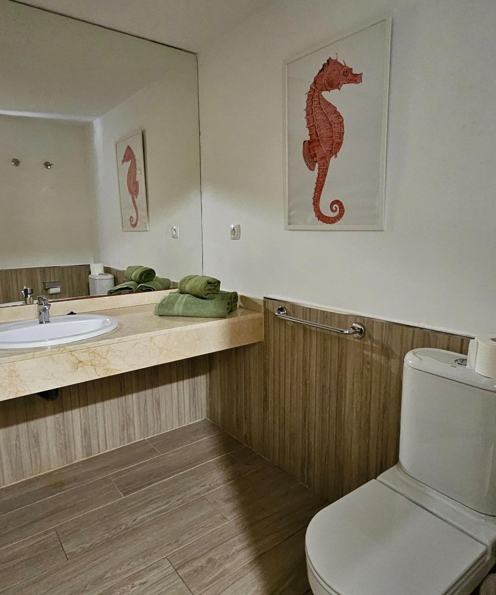 Tamarindo Piscinas De Agua Salada Fibra Optica Apartment