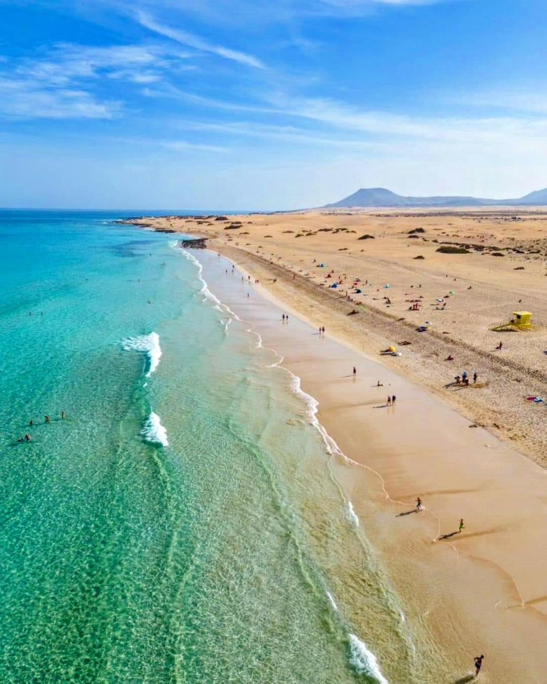 With Terrace & Palm Trees 25mb Wifi * Corralejo