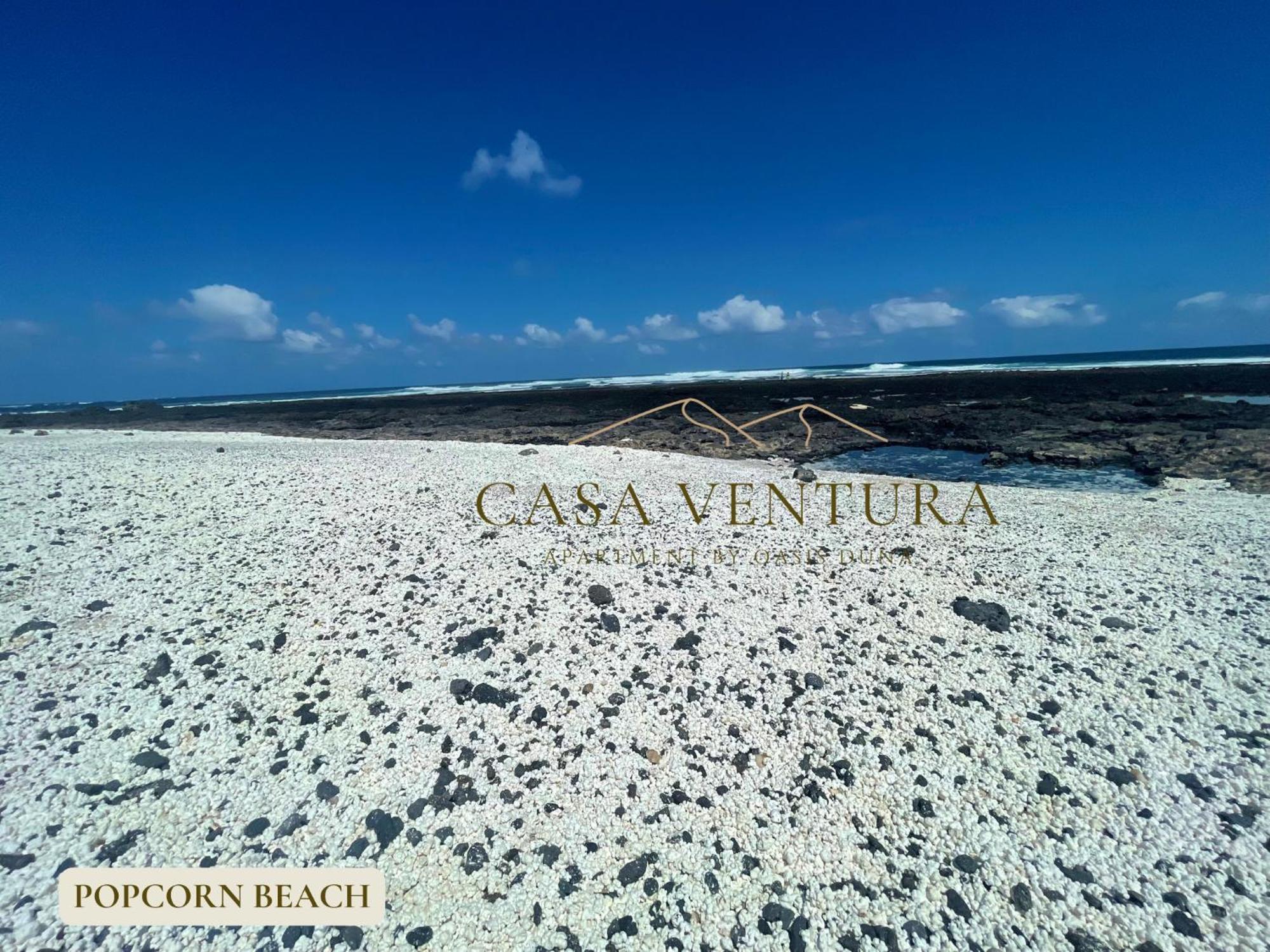Apartment B-rent Casa Ventura