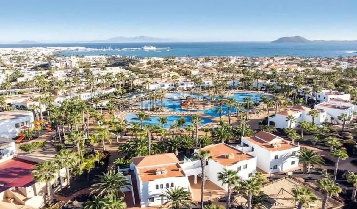 Amelia Oasis Dunas -corralejo-