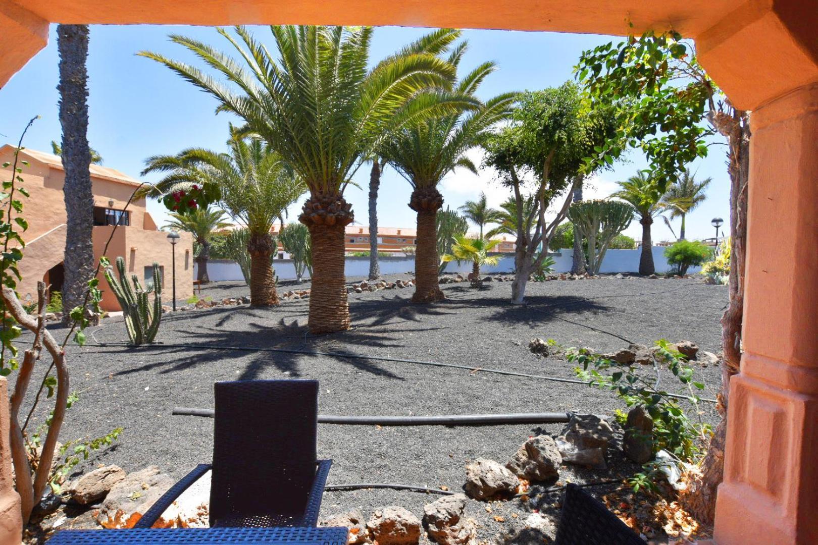 Apartment Book Jet - Oasis Maxi-pool !renovated!