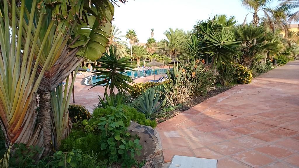 Casa Sandra Oasis Tamarindo Apartment Corralejo
