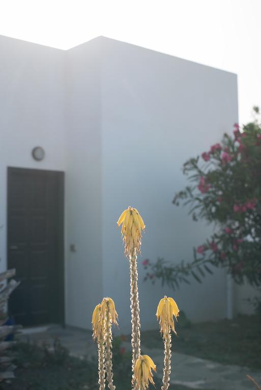 Drago Homes * Corralejo