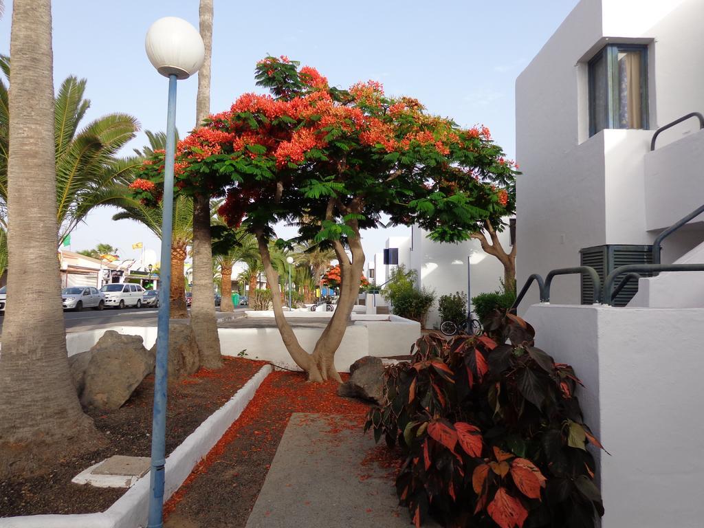 Guest house Habitaciones Residencial Corralejo Centro Playa *