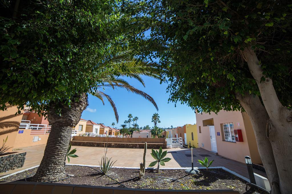 Serenada * Corralejo