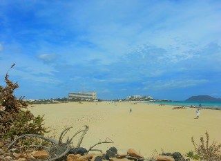 Riu Oliva Beach 3* Corralejo