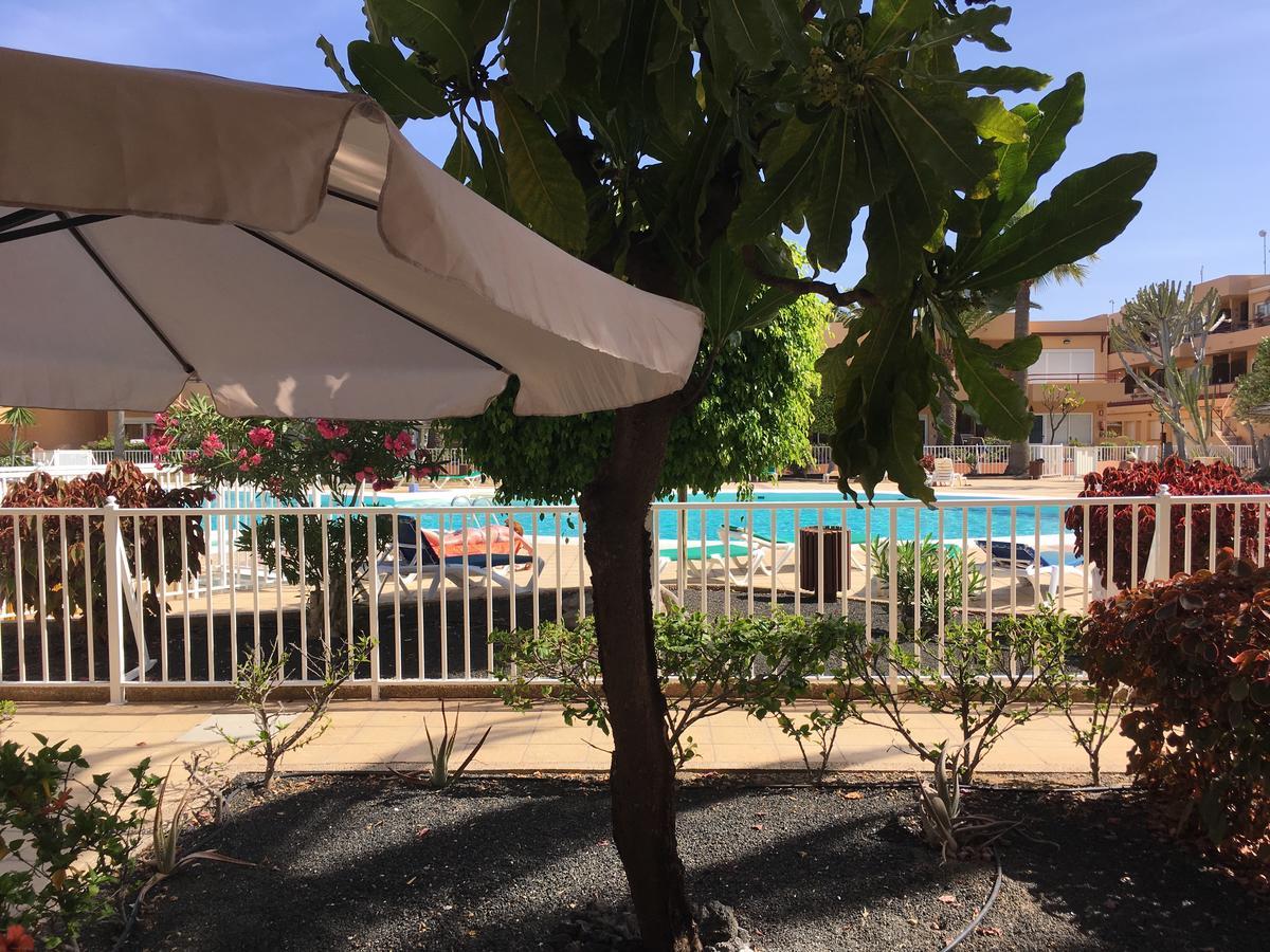 Las Dunas Apartment