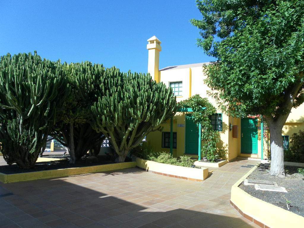 Tao Caleta Playa Apartment