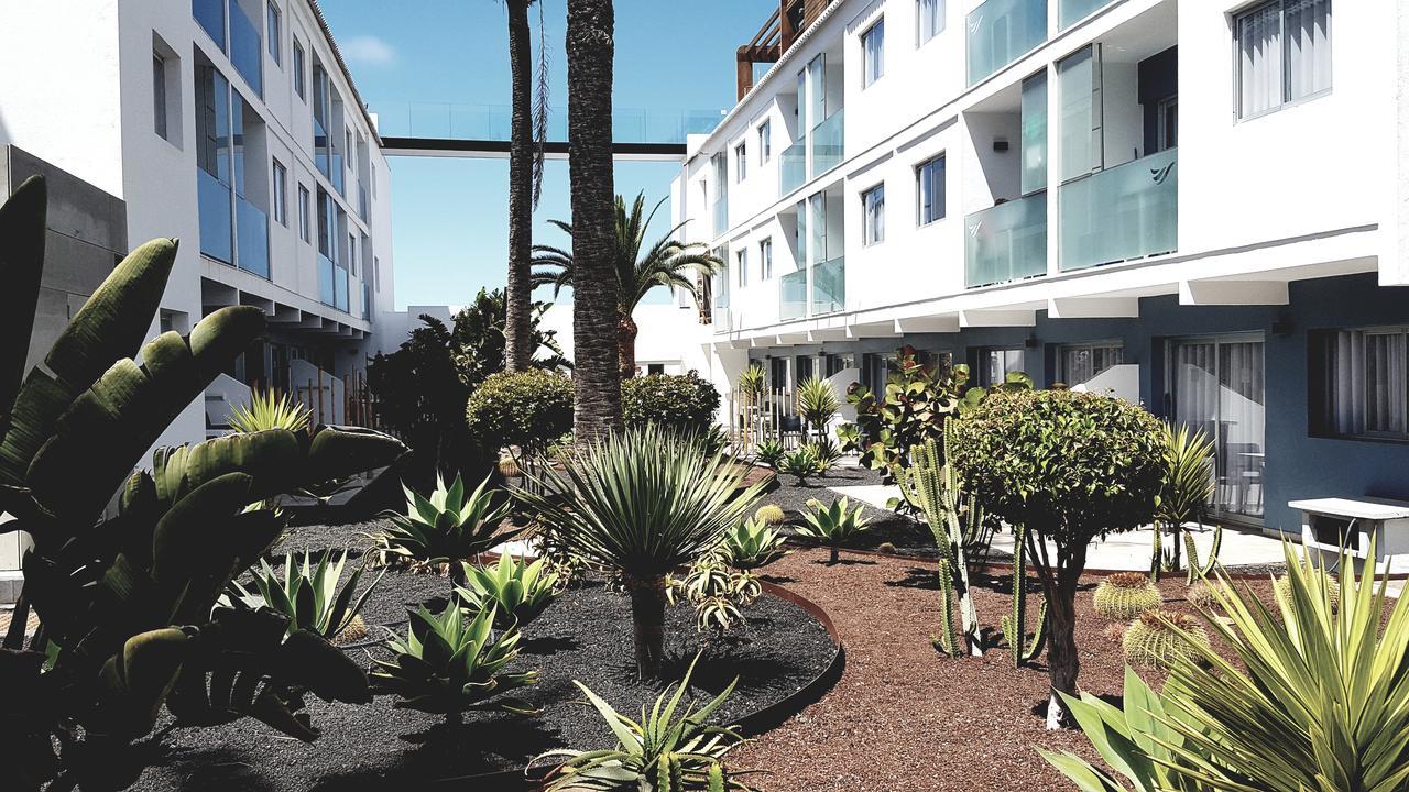 Cozy & Confortable Junior By Bristo Sunset # Good Wifi, Terrace And Pool * Corralejo