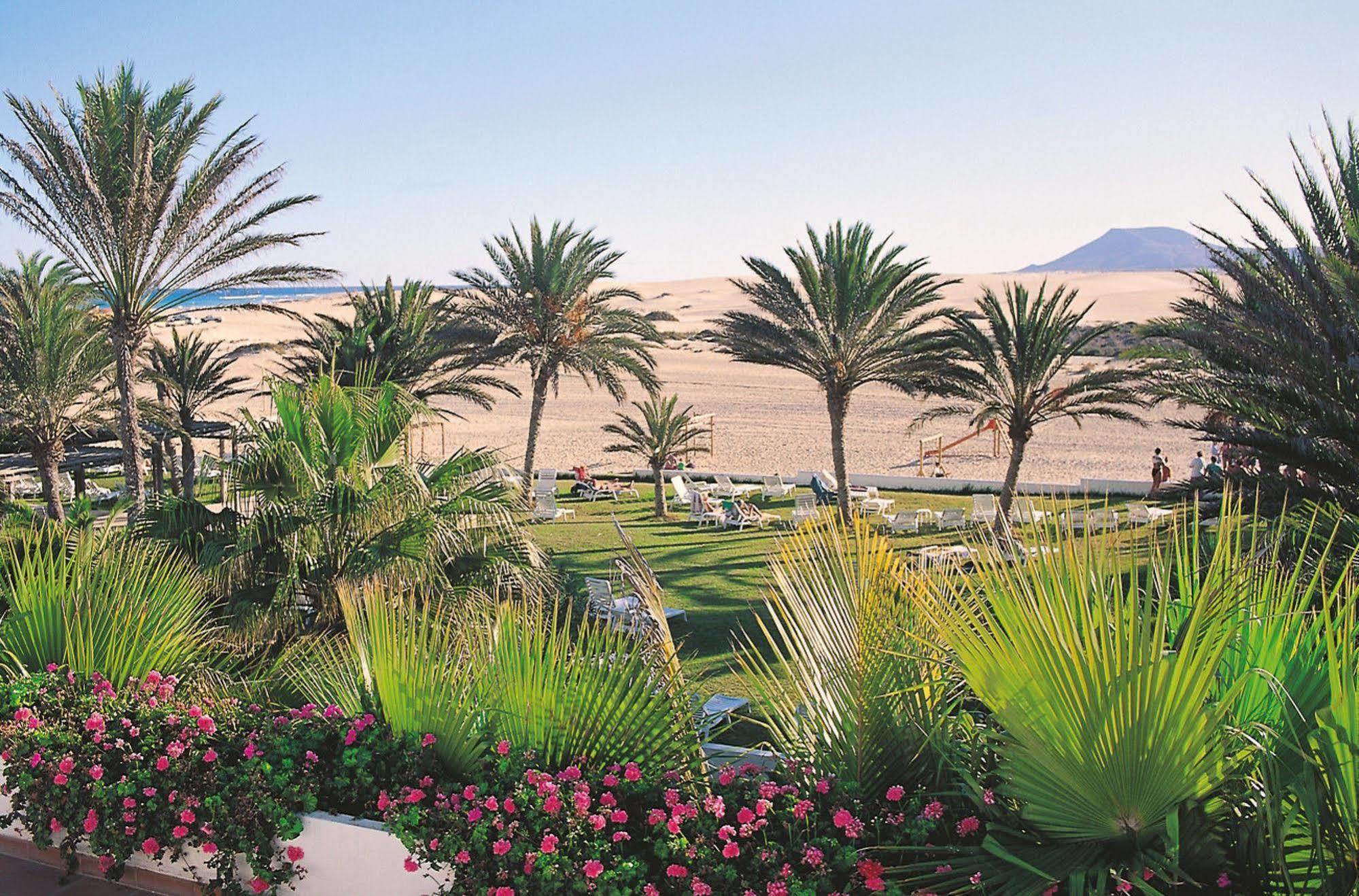 Riu Oliva Hotel Corralejo