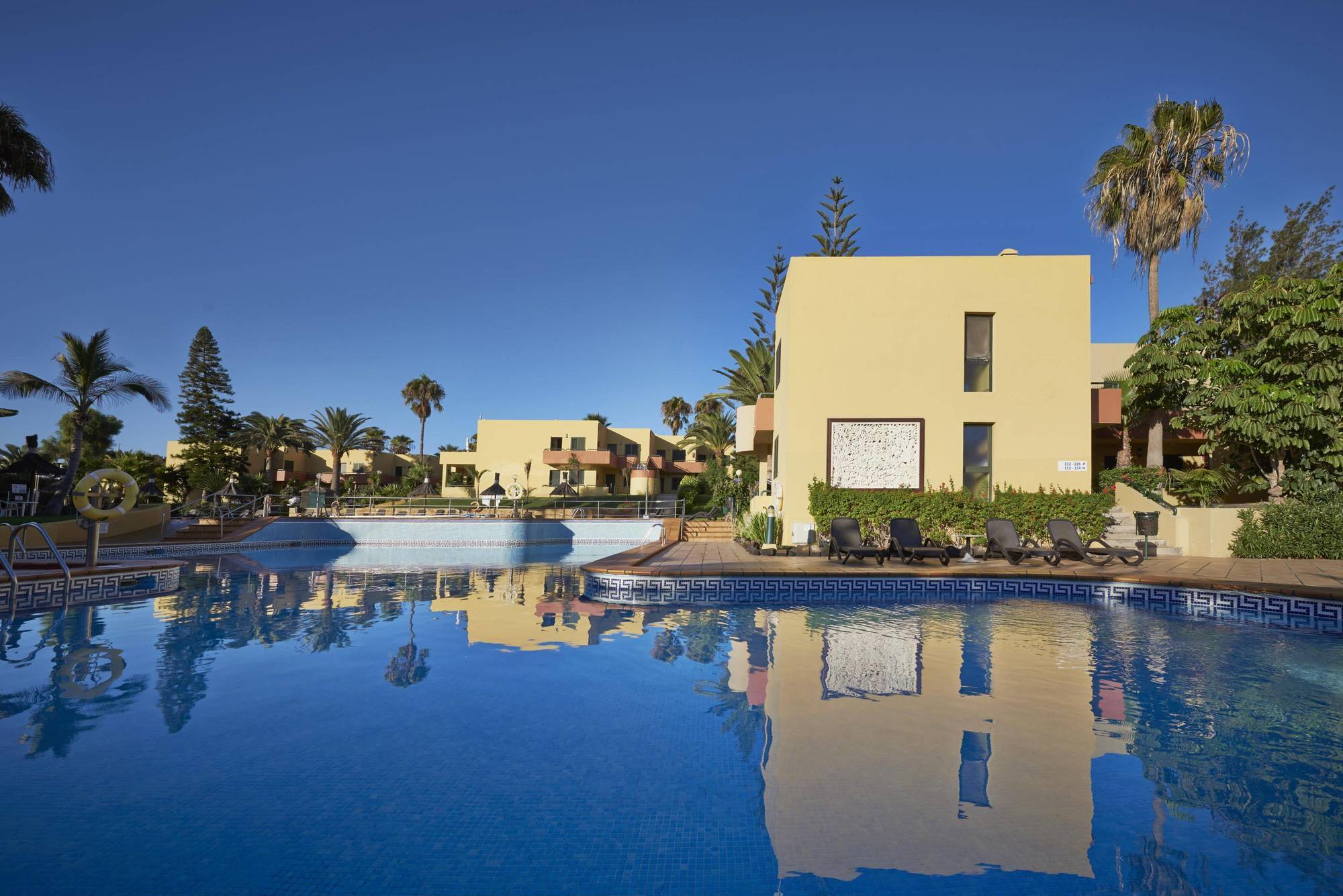 Atlantic Garden Mate Corralejo
