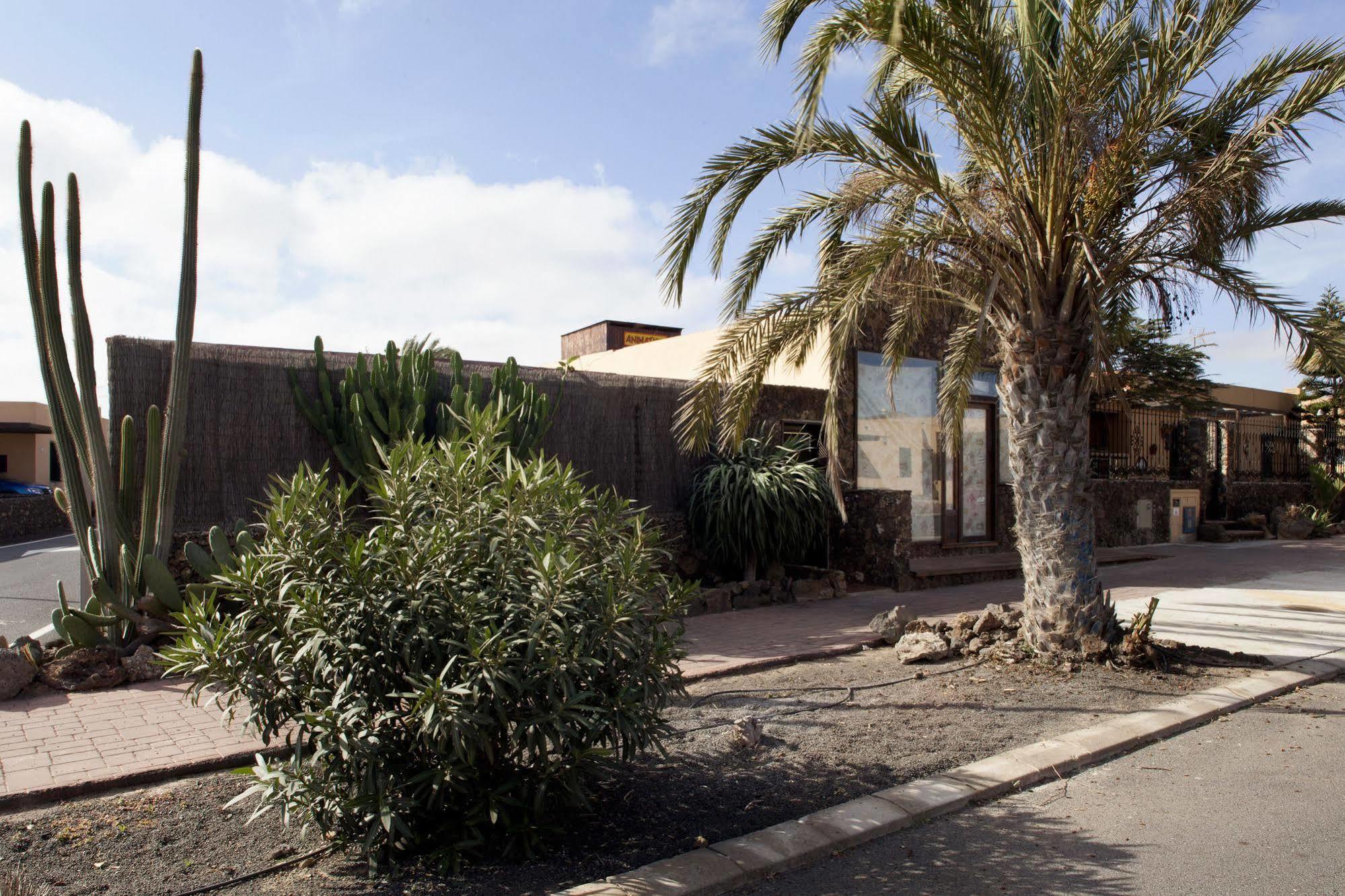 Laurisilva * Corralejo