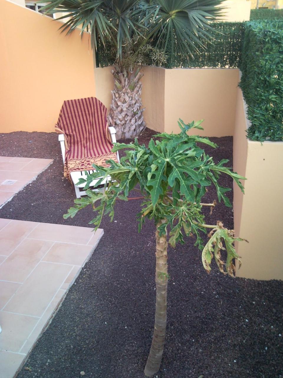 Holiday home Casa El Pozo Corralejo