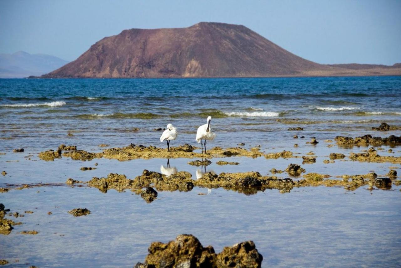 Remos * Corralejo