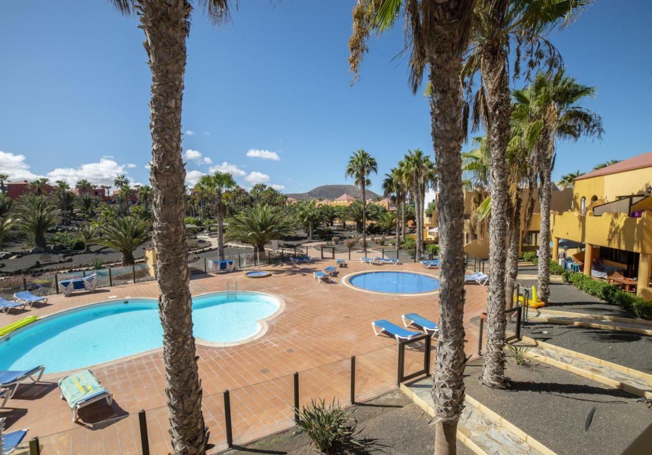 Lightbooking Oasis Royal F311 Corralejo