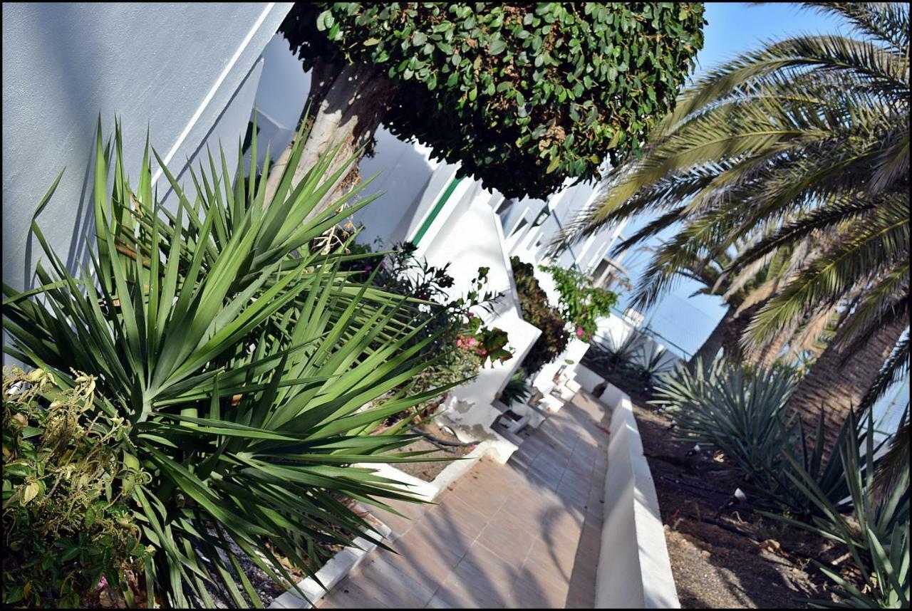 Apartment La Ola