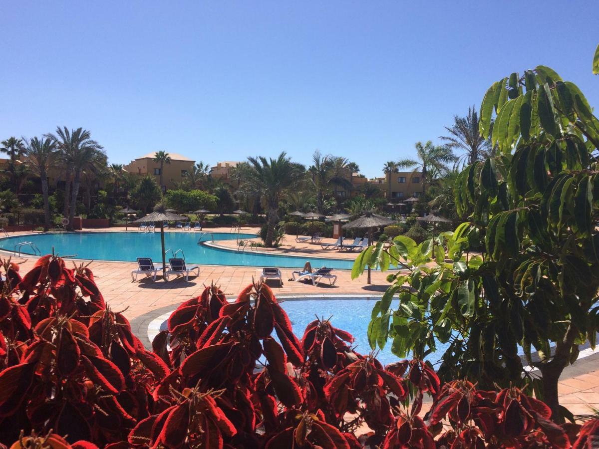 Tropical Garden Retreat: Private Terrace & Pool Oasis Corralejo