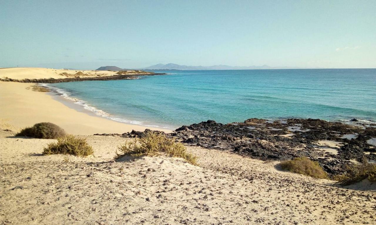 Estudio Coriandolo Wifi Fibra Corralejo