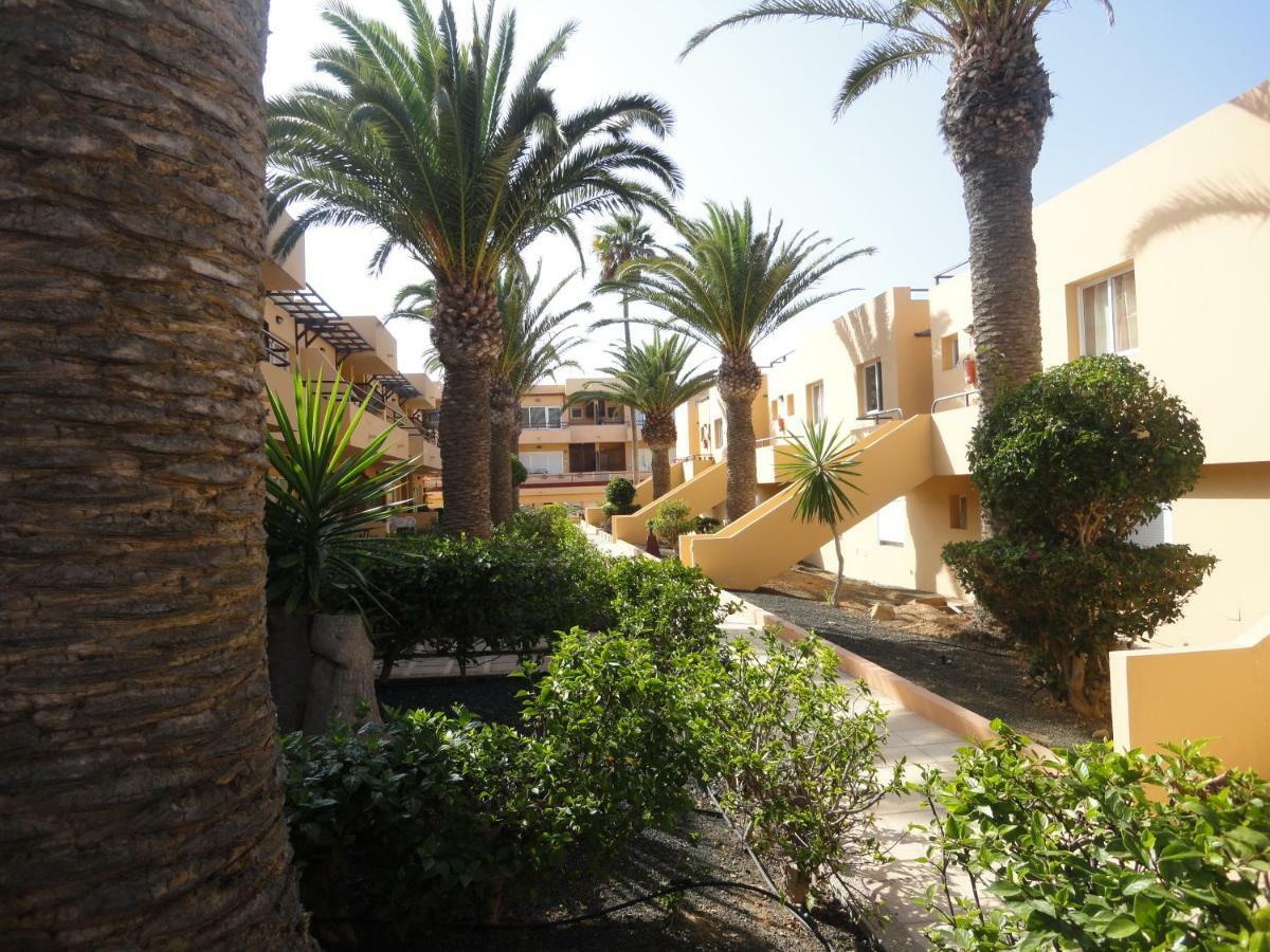 Paradise *