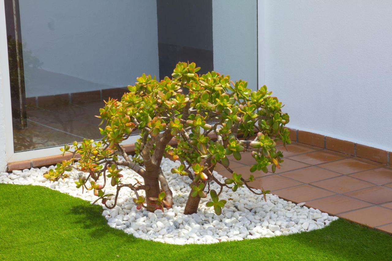 Pousada Taginaste Corralejo