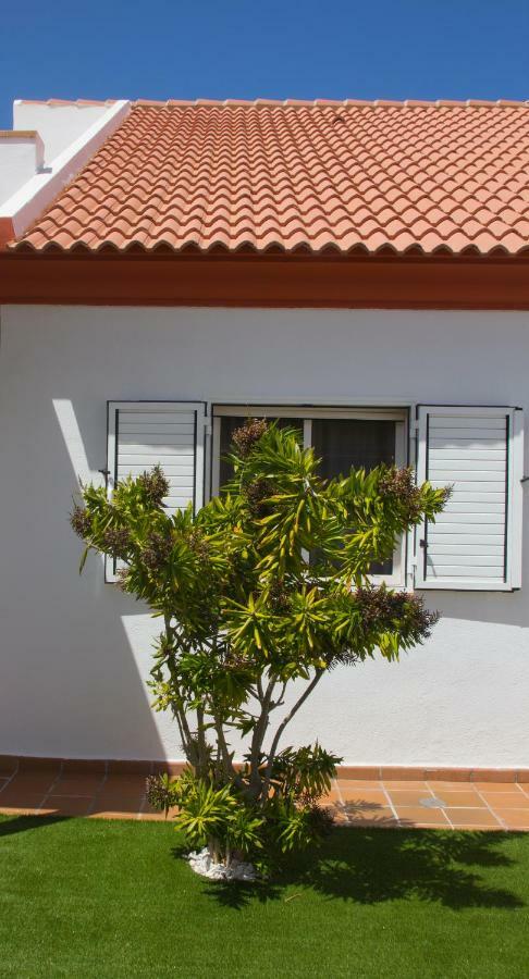 Taginaste Corralejo