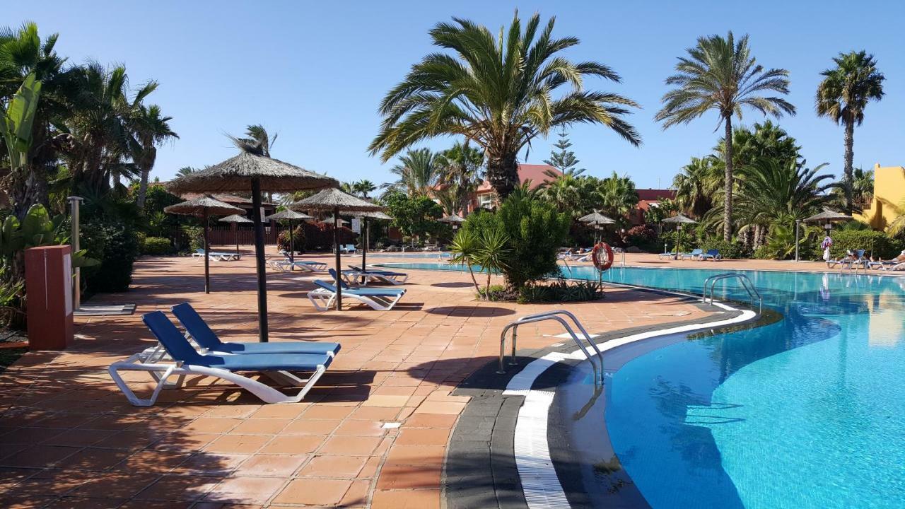 Spagnolo Oasis Tamarindo