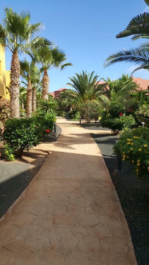 Spagnolo Oasis Tamarindo Appartement *