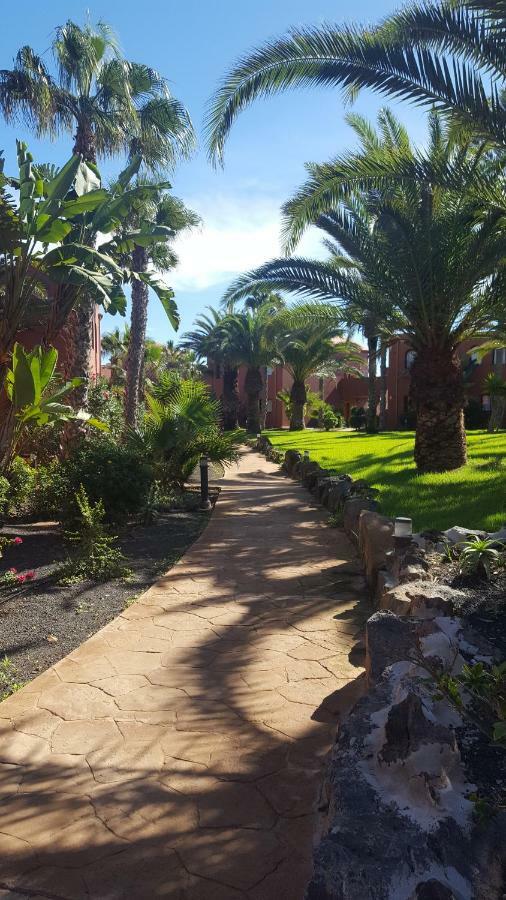 Spagnolo Oasis Tamarindo Appartement