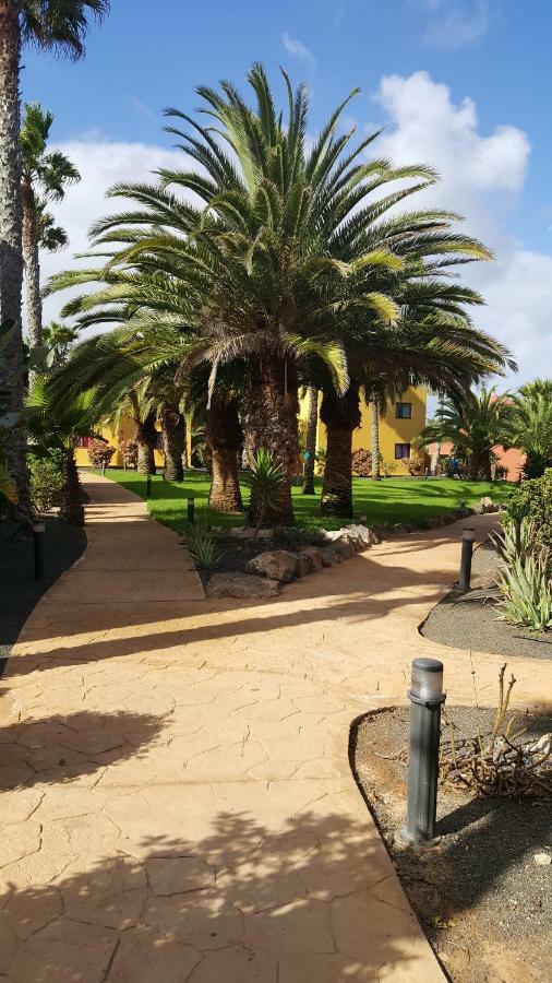 Spagnolo Oasis Tamarindo Appartement *