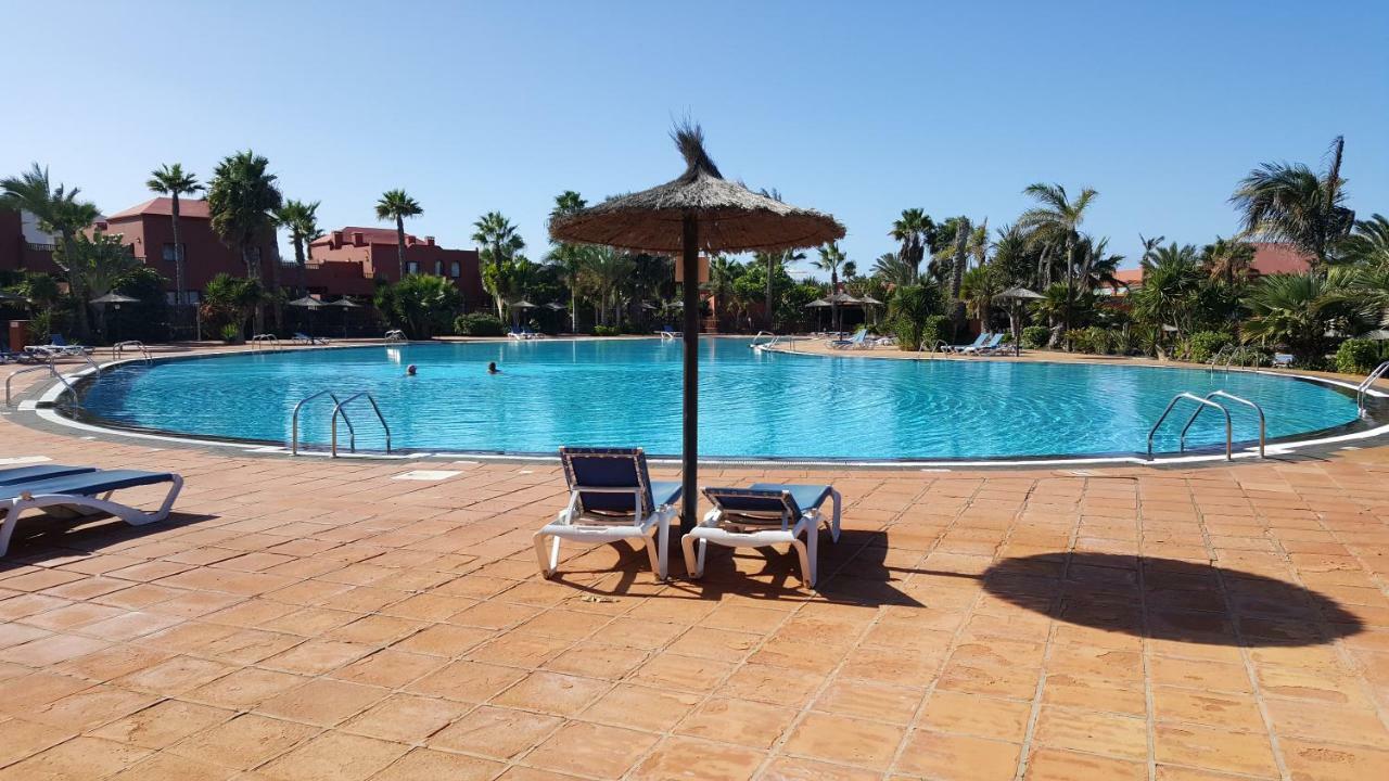 Spagnolo Oasis Tamarindo